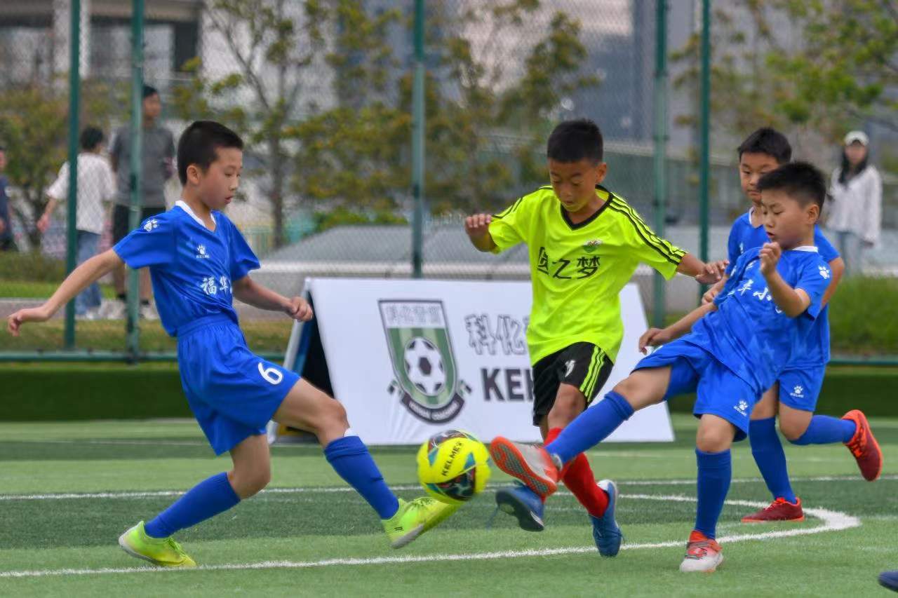 这些数据的 这些数据的